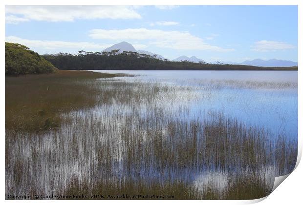 Tasmania, Melaleuca Lagoon Print by Carole-Anne Fooks