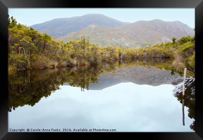 Melaleuca Creek Tasmania Framed Print by Carole-Anne Fooks