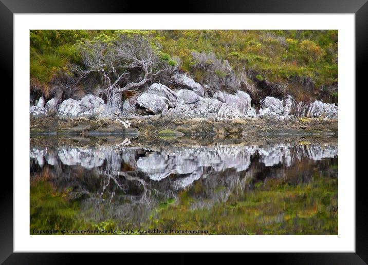 Reflections Along Melaleuca Creek Framed Mounted Print by Carole-Anne Fooks