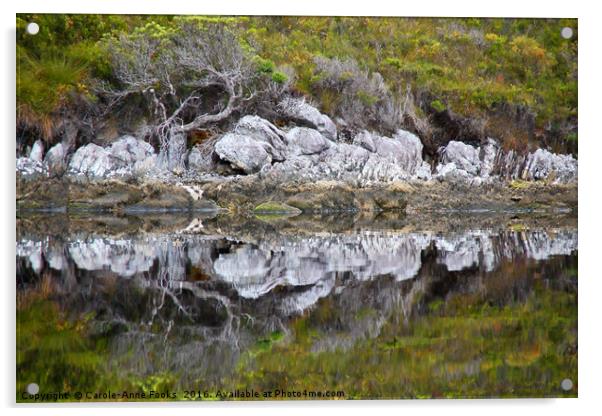 Reflections Along Melaleuca Creek Acrylic by Carole-Anne Fooks