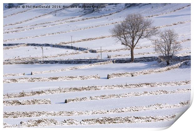 Stone Walls in the Snow, Yorkshire Dales Print by Phil MacDonald