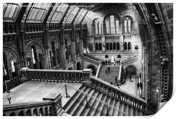 London Natural History Museum Print by Milton Cogheil