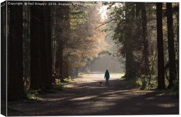 Girl in the Forest Canvas Print by Neil Gregory