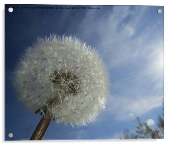 Dandelion in the sunny sky, Acrylic by Ali asghar Mazinanian