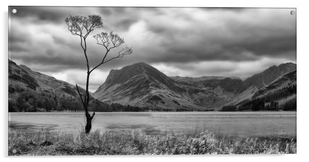 Buttermere Acrylic by Roger Green