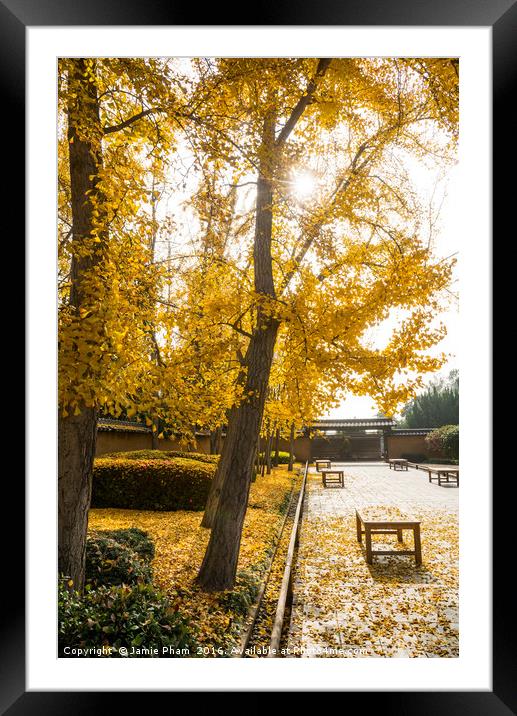 The beautiful fall colors of the Japanese Gardens Framed Mounted Print by Jamie Pham