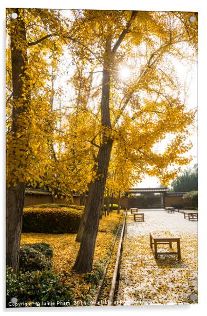 The beautiful fall colors of the Japanese Gardens Acrylic by Jamie Pham