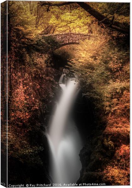 Aira Force  Canvas Print by Ray Pritchard