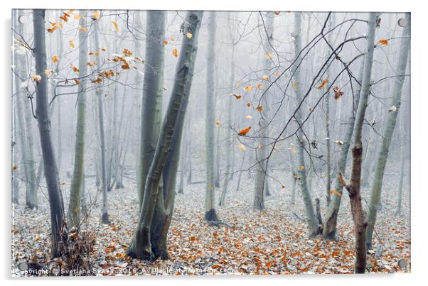 Dreamy Forest Acrylic by Svetlana Sewell