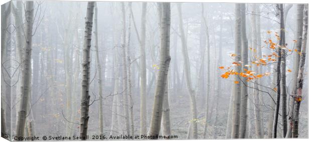 Last Autumn Branch Canvas Print by Svetlana Sewell