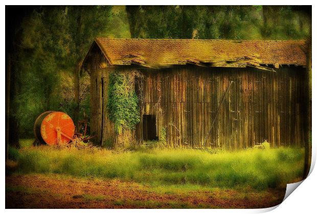 The Old Barn Print by Irene Burdell