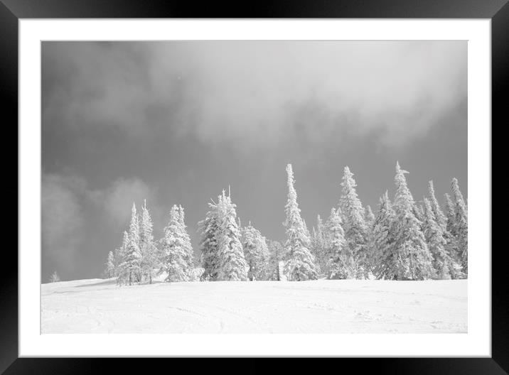 Winter landscape. Framed Mounted Print by Larisa Siverina