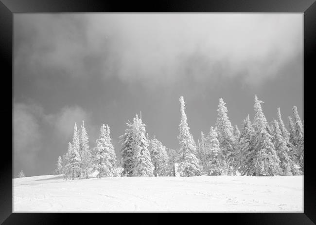 Winter landscape. Framed Print by Larisa Siverina