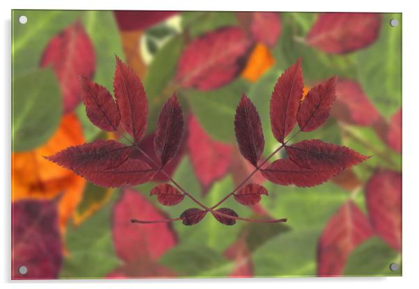 Autumn Red Acrylic by Ivan Kovacs