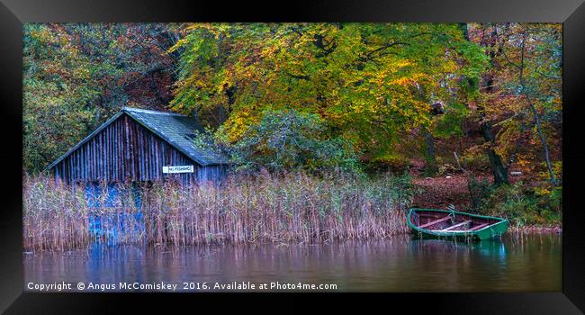 No fishing! Framed Print by Angus McComiskey