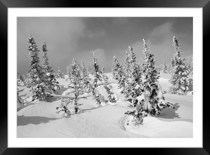 Winter landscape. Framed Mounted Print by Larisa Siverina