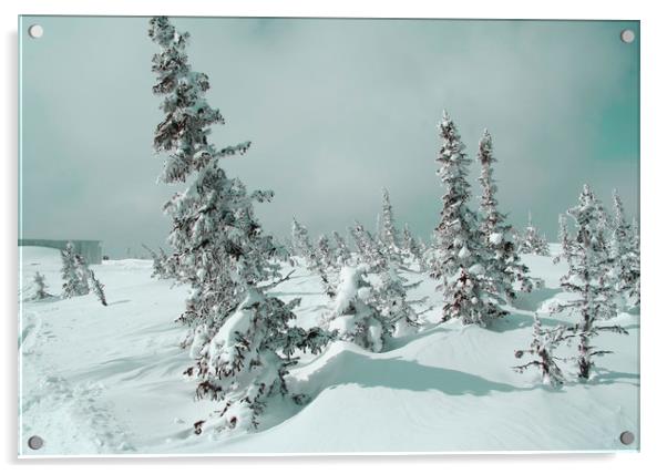 Winter landscape Acrylic by Larisa Siverina