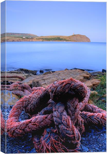 Kimmeridge bay in Dorset Canvas Print by Ian Middleton