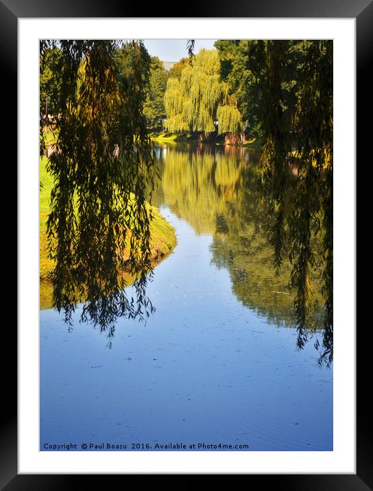 willow lake reflection Framed Mounted Print by Paul Boazu