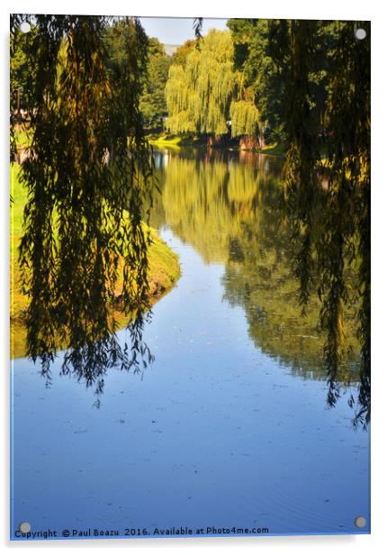 willow lake reflection Acrylic by Paul Boazu