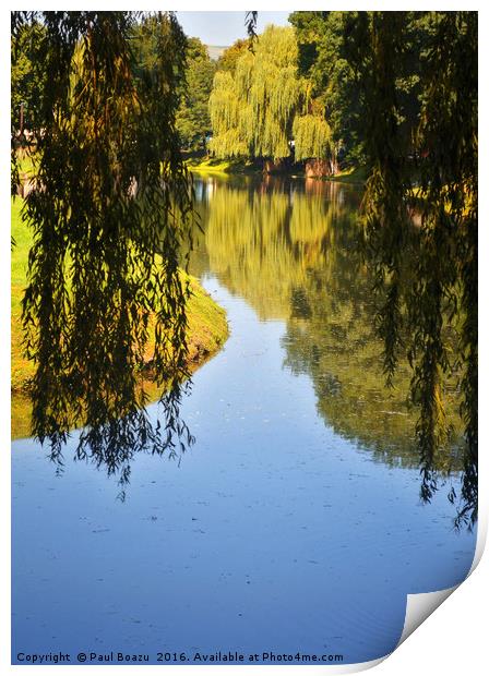 willow lake reflection Print by Paul Boazu