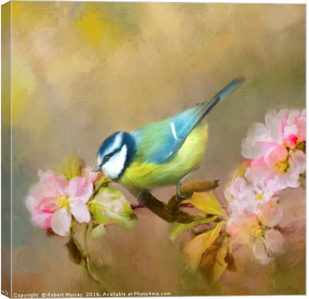 Blue Tit Canvas Print by Robert Murray