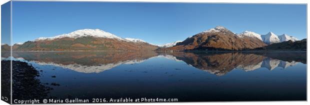 Five Sisters of Kintail (panorama) Canvas Print by Maria Gaellman