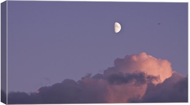 Moonrise over east London Canvas Print by David French