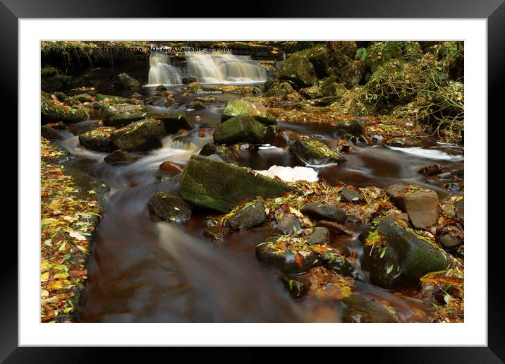 AUTUMN LOOK Framed Mounted Print by andrew saxton
