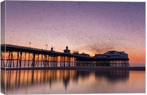 Starlings swarming over Blackpool north pier, Lanc Canvas Print by Simon Booth