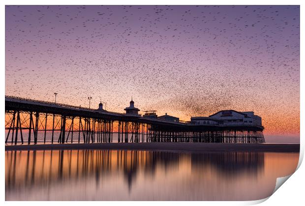Starlings swarming over Blackpool north pier, Lanc Print by Simon Booth