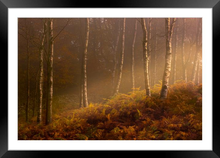 Autumn mist Framed Mounted Print by Simon Booth