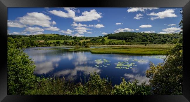 Lillypads and Clouds, Cors Caron, Ceredigion Wales Framed Print by Jenny Dignam