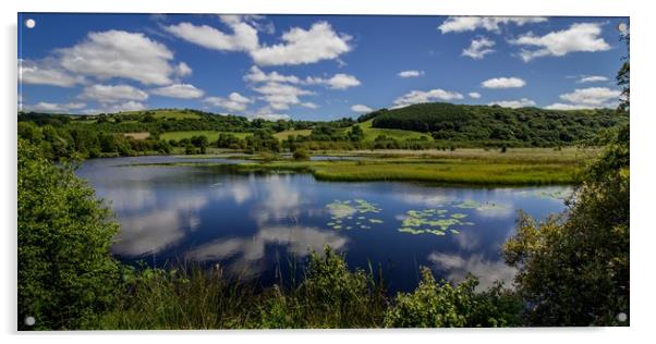 Lillypads and Clouds, Cors Caron, Ceredigion Wales Acrylic by Jenny Dignam