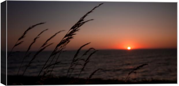 Simple Sea Sunset, Wales Canvas Print by Jenny Dignam