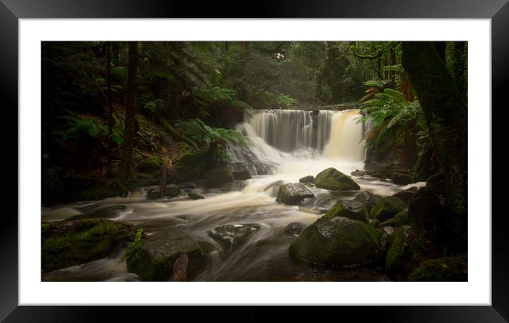Horseshoe Falls, Mt Field National Park, Tasmania  Framed Mounted Print by Jenny Dignam