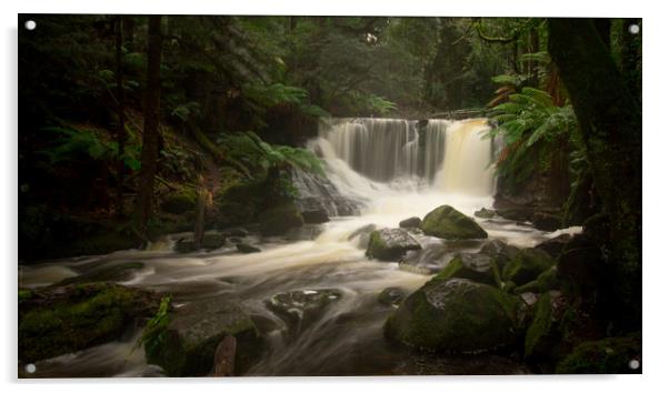 Horseshoe Falls, Mt Field National Park, Tasmania  Acrylic by Jenny Dignam