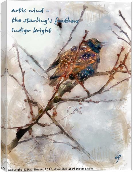 Winter indigo  Canvas Print by Paul Boazu