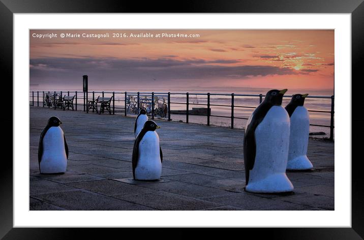 penguins Outing  Framed Mounted Print by Marie Castagnoli