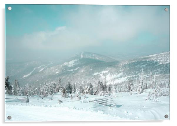 Winter landscape. Acrylic by Larisa Siverina