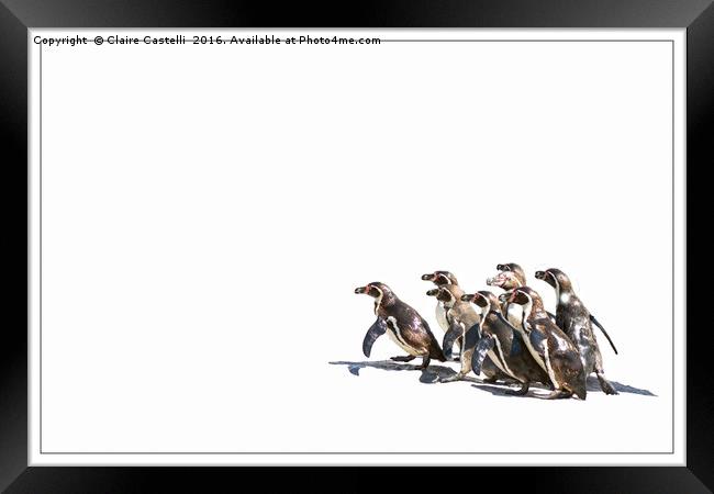 March of the penguins Framed Print by Claire Castelli