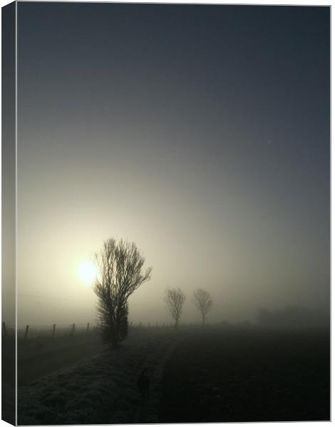 Foggy Winter Morning Canvas Print by Simon Wrigglesworth