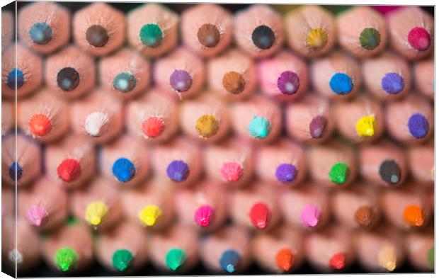 Coloured pencils. Canvas Print by Bryn Morgan