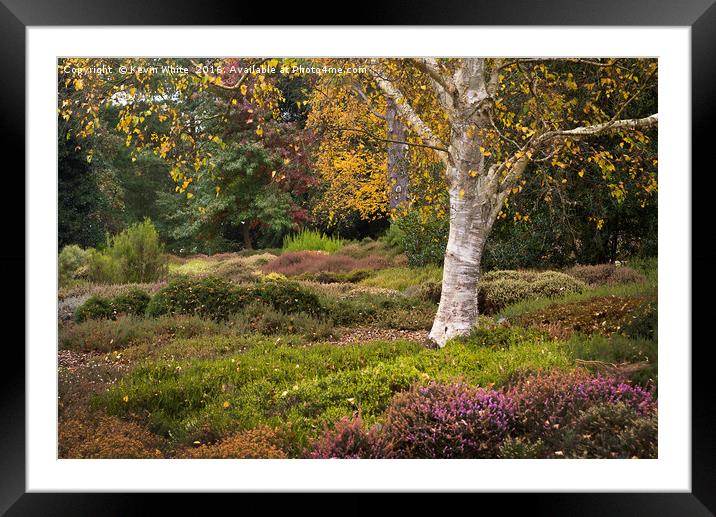 Colours of nature Framed Mounted Print by Kevin White