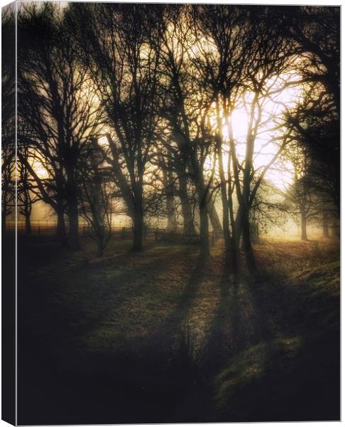 Spooky Woodland Canvas Print by Simon Wrigglesworth