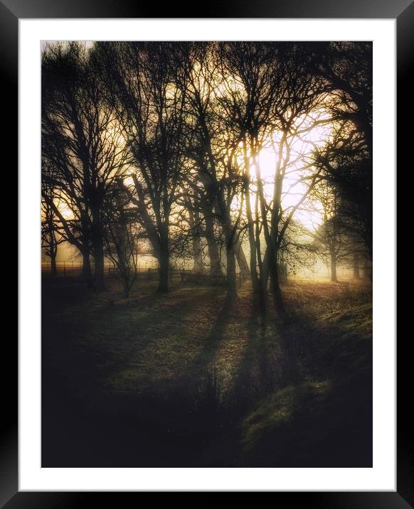 Spooky Woodland Framed Mounted Print by Simon Wrigglesworth