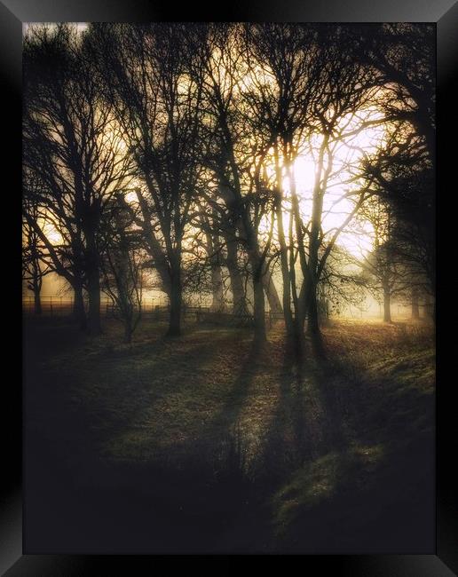 Spooky Woodland Framed Print by Simon Wrigglesworth
