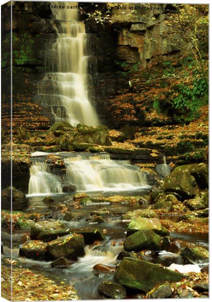 BROKEN FALL Canvas Print by andrew saxton