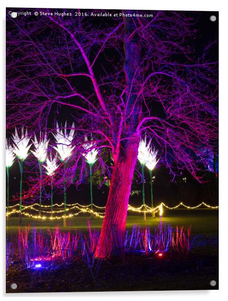 Purple tree at Christmas Glow at RHS Wisley Acrylic by Steve Hughes