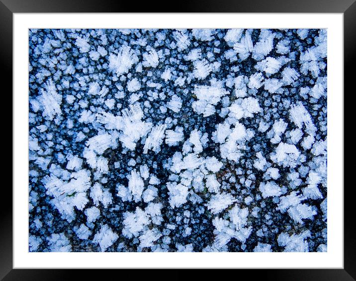 Ice Crystals Framed Mounted Print by Ellie Rose